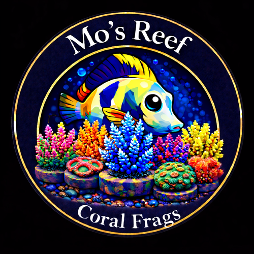 Mo’s Reef